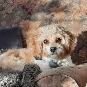 Meet your Posher, Kathy